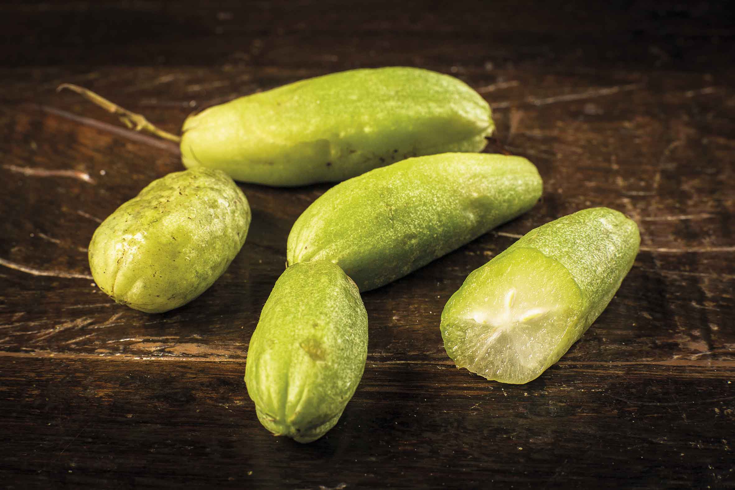 Figura 04 - Biribiri