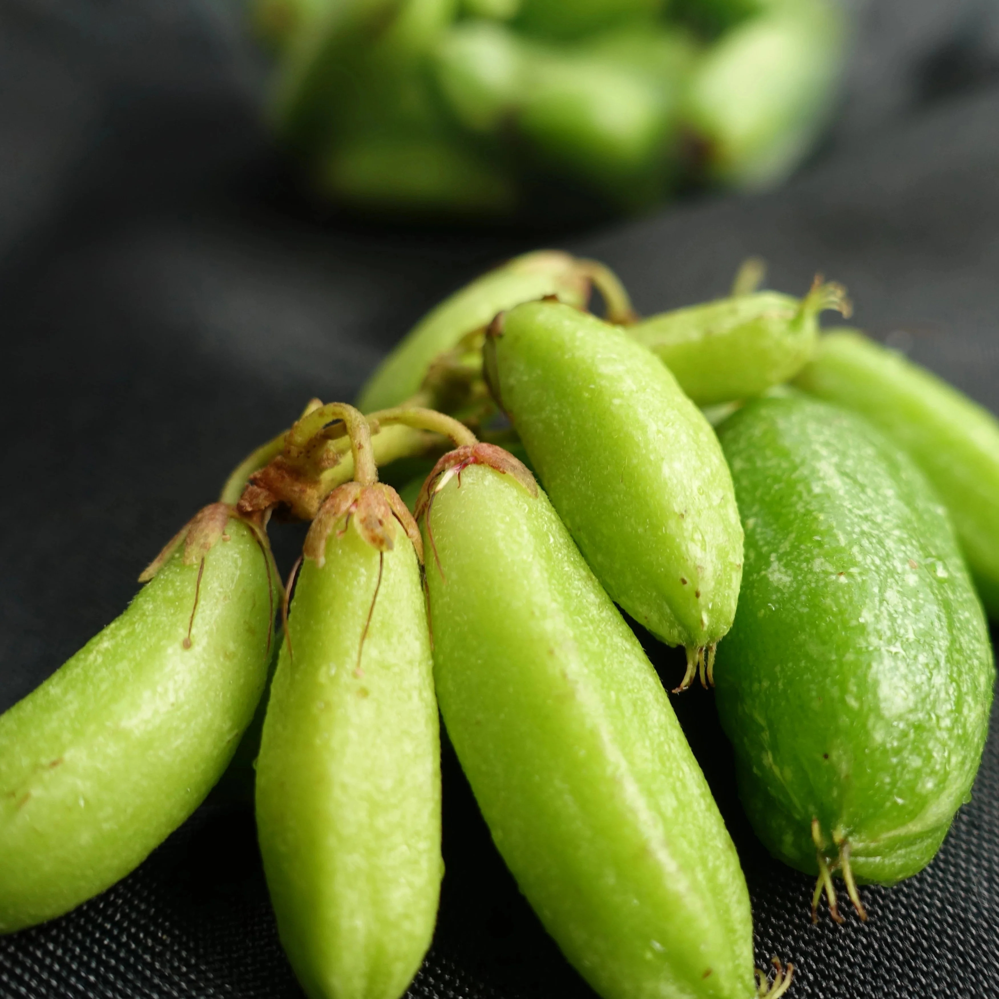 Figura 09 -  Biribiri