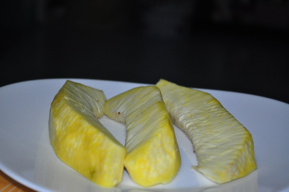 Figura 04 - Fruta Pão