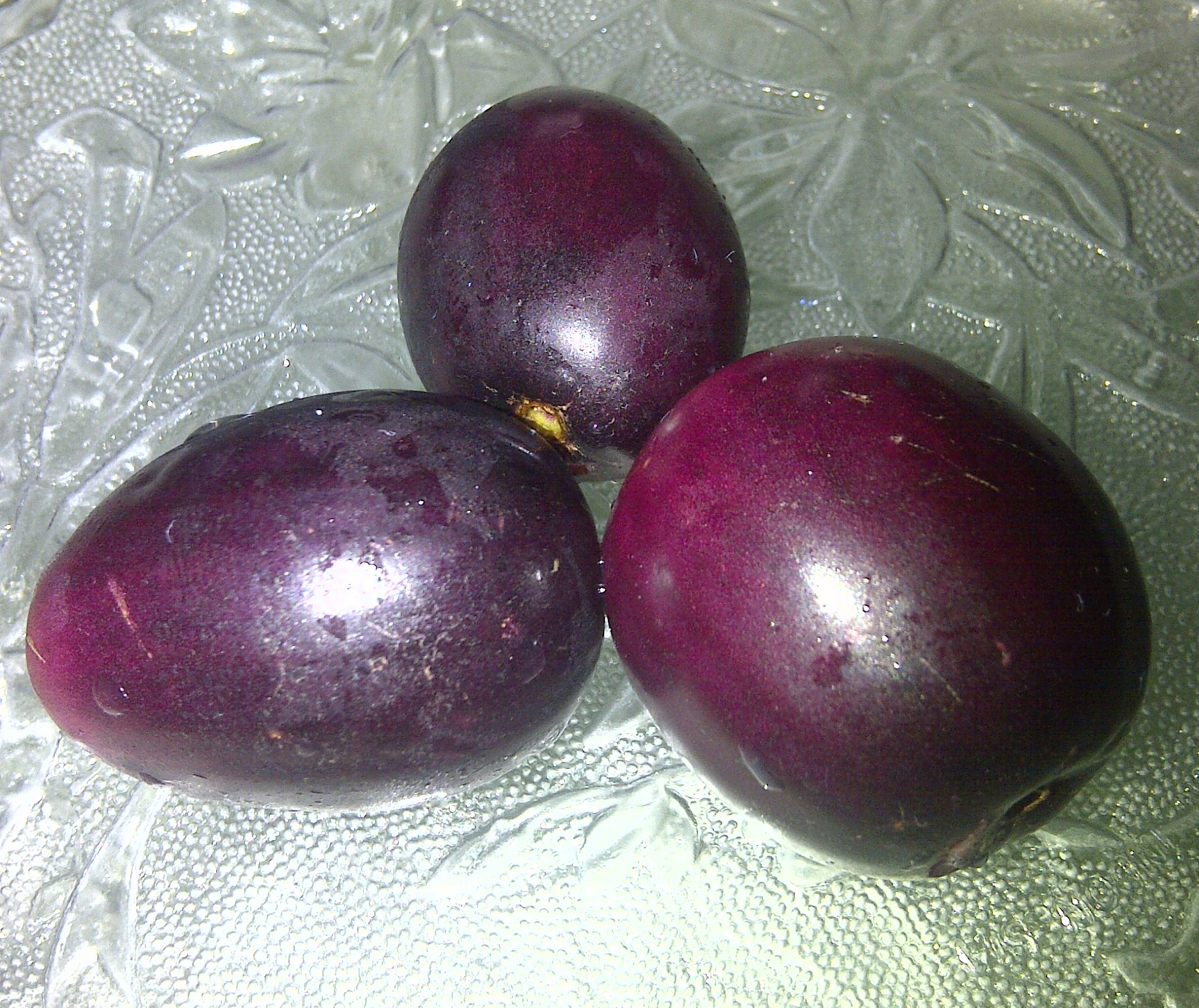 Figura 04 - Jamelão