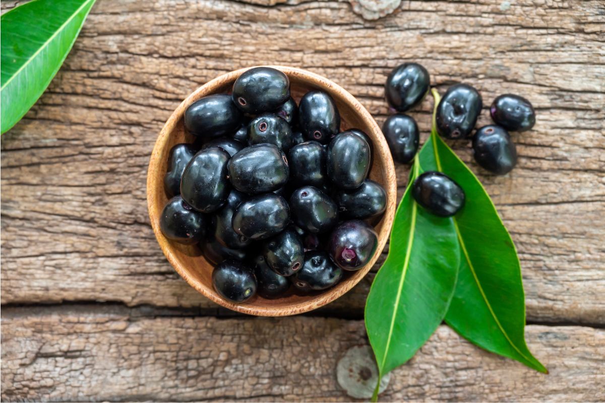 Figura 08 - Jamelão