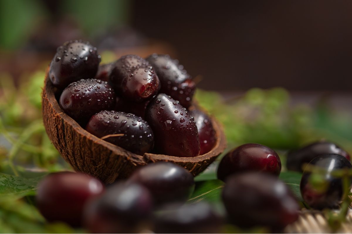 Figura 09 -  Jamelão