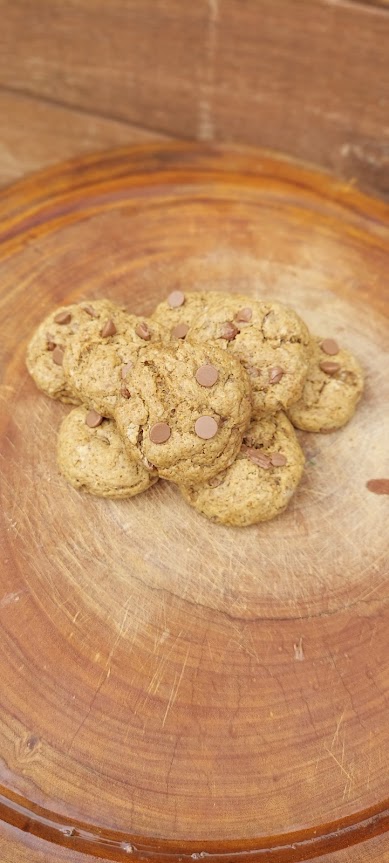 Figura 10 - Cookie de Jatobá