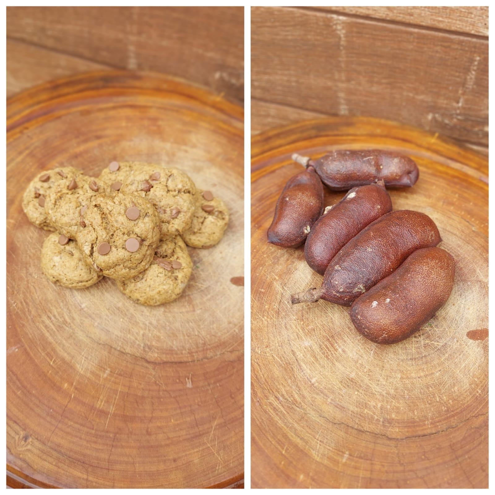 Jatobá (Hymenaea courbaril)