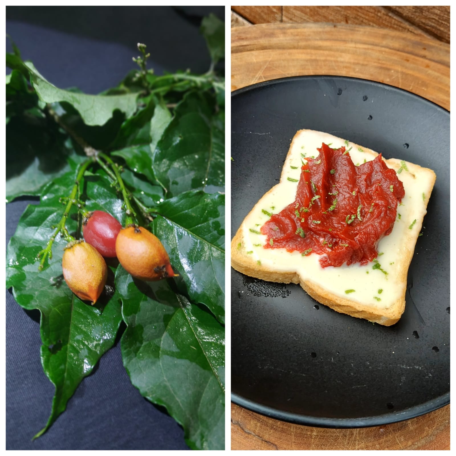 Cereja-do-Cerrado (Bunchosia armeniaca): 