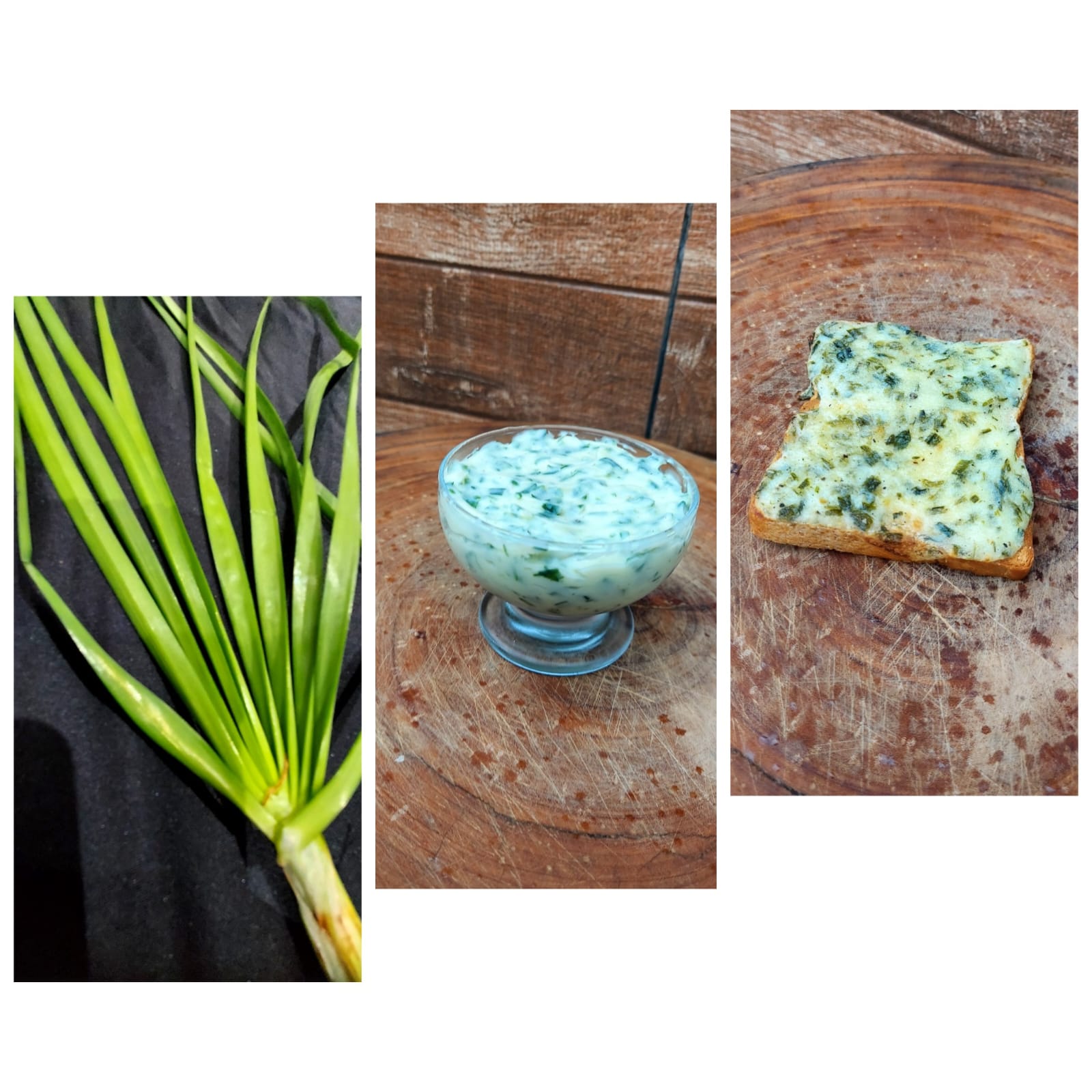 Alho-nirá (Allium tuberosum):