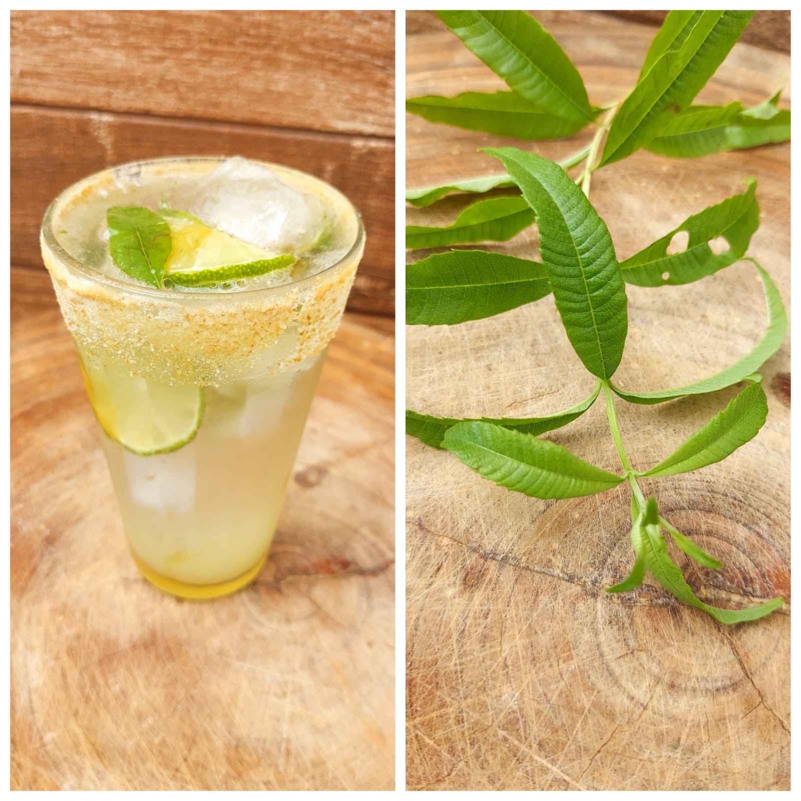 Erva-luísa (Aloysia citriodora):