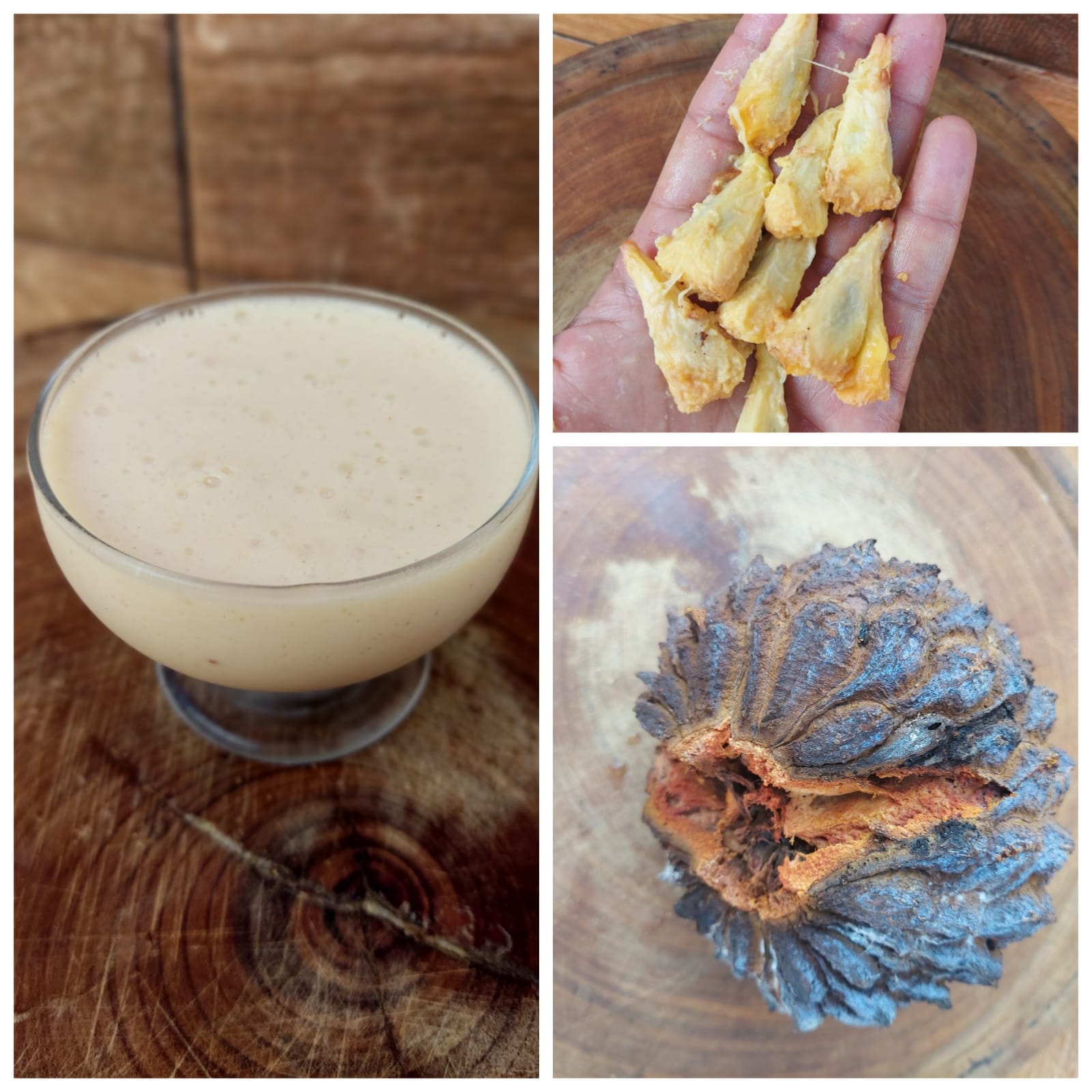 Araticum (Annona crassiflora):