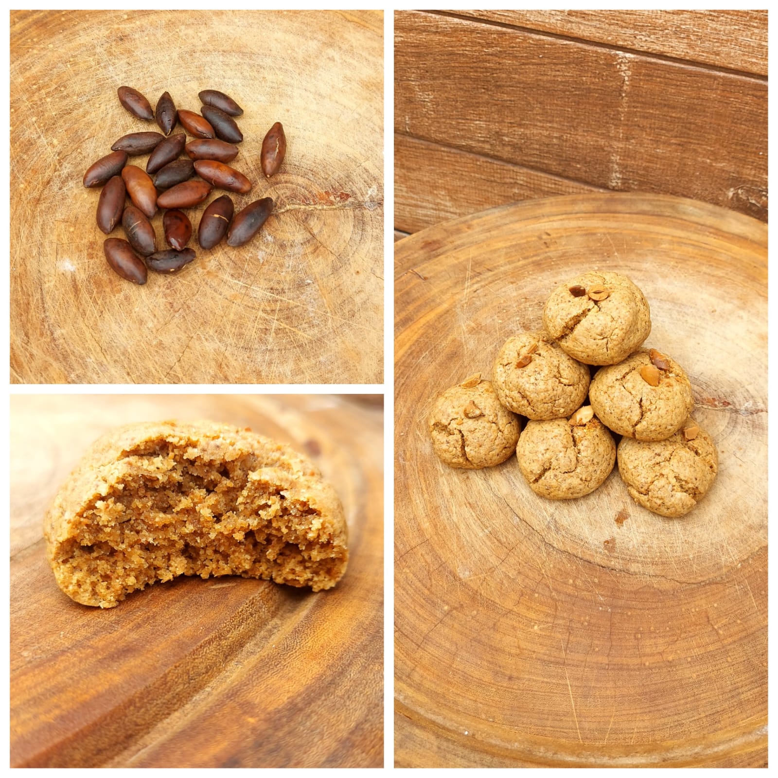 Baru (Dipteryx alata Vogel):