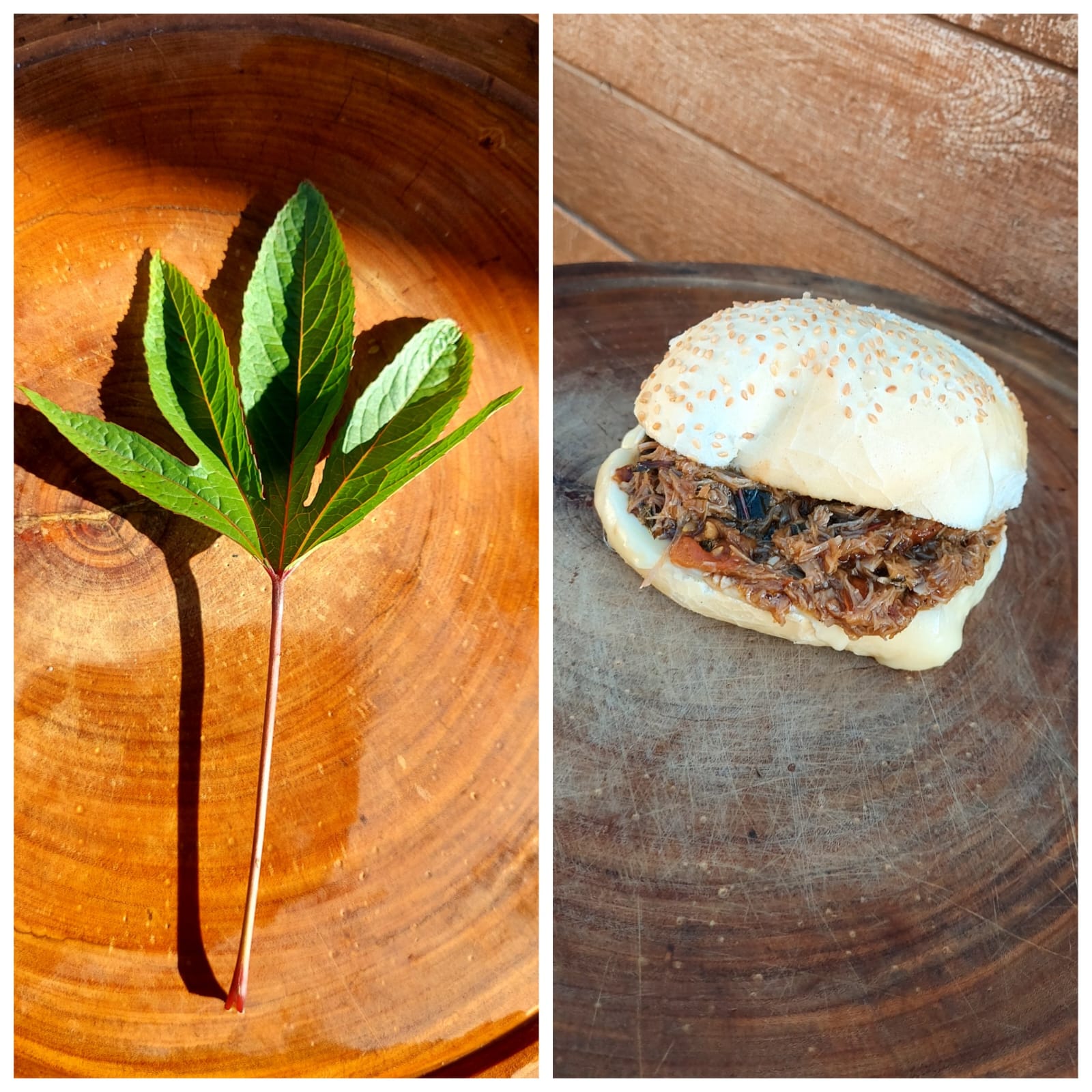 Vinagreira (Hibiscus sabdariffa):