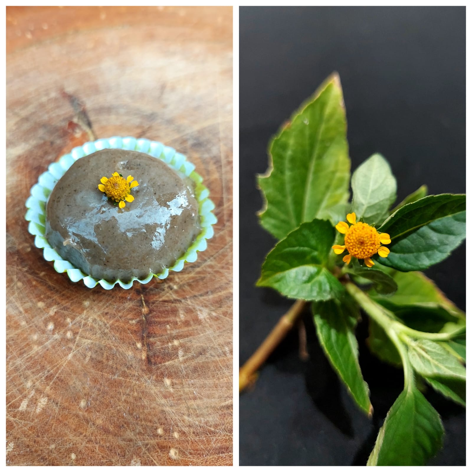 Jambu (Acmella ciliata):